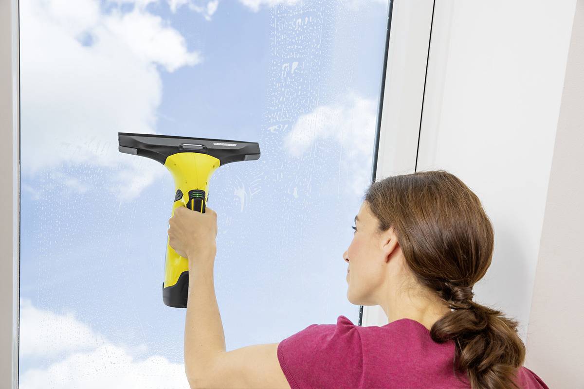 WV 5 Plus - Fensterreiniger - Handstaubsauger