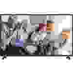 Dyon Live 43 Pro LED-TV 108cm 42.5 Zoll EEK G (A - G) DVB-T2, DVB-C, DVB-S, Full HD, CI+ Schwarz