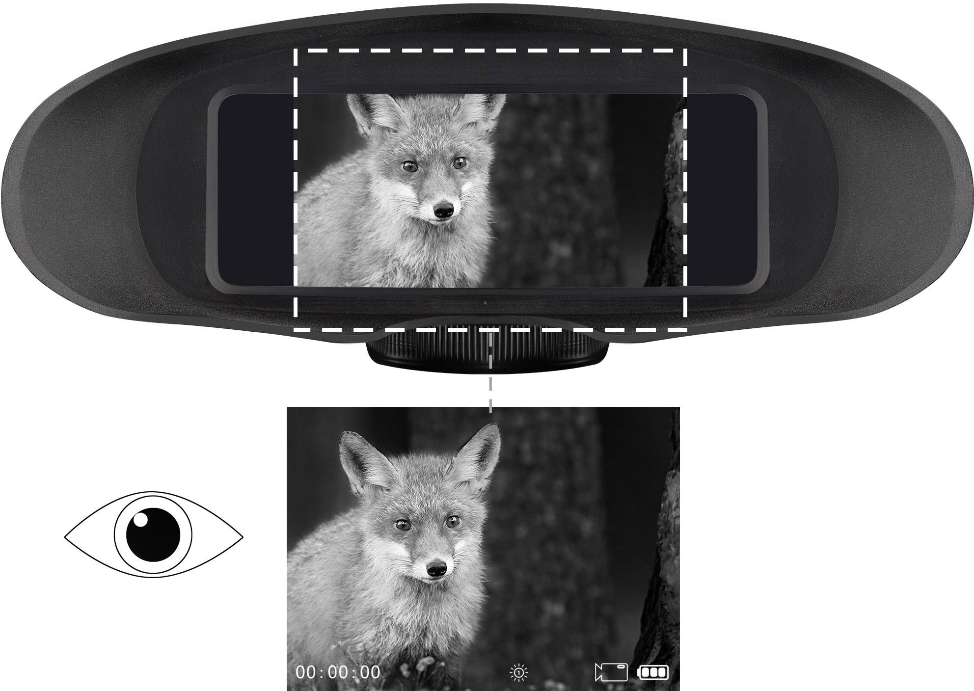 Bresser Optik Digital NV Binokular 1877491 Nachtsichtgerät mit Digitalkamera 3.5 x Generation Digital