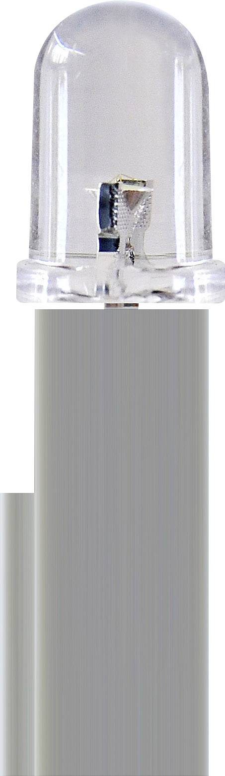 Nahaufnahme einer transparenten LED-Lampe, die auf einem grauen Sockel montiert ist. Sie zeigt filigrane interne Drähte und Komponenten.