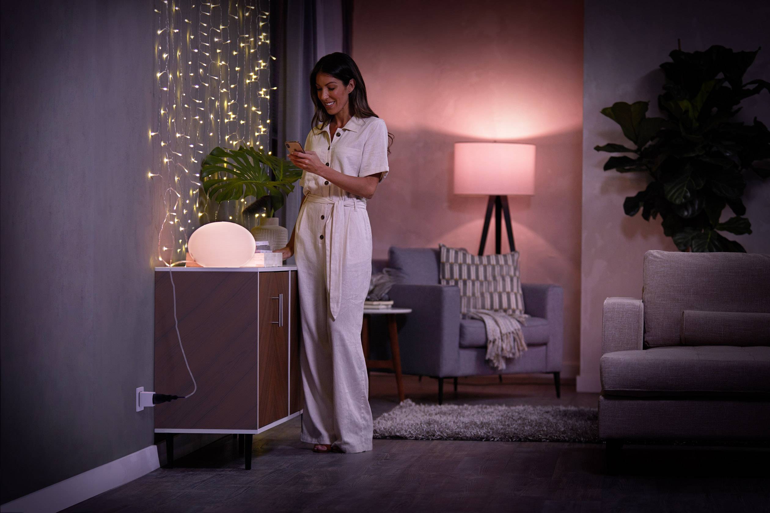 Philips Lighting Hue Zwischensteckdose 2160764smart plug