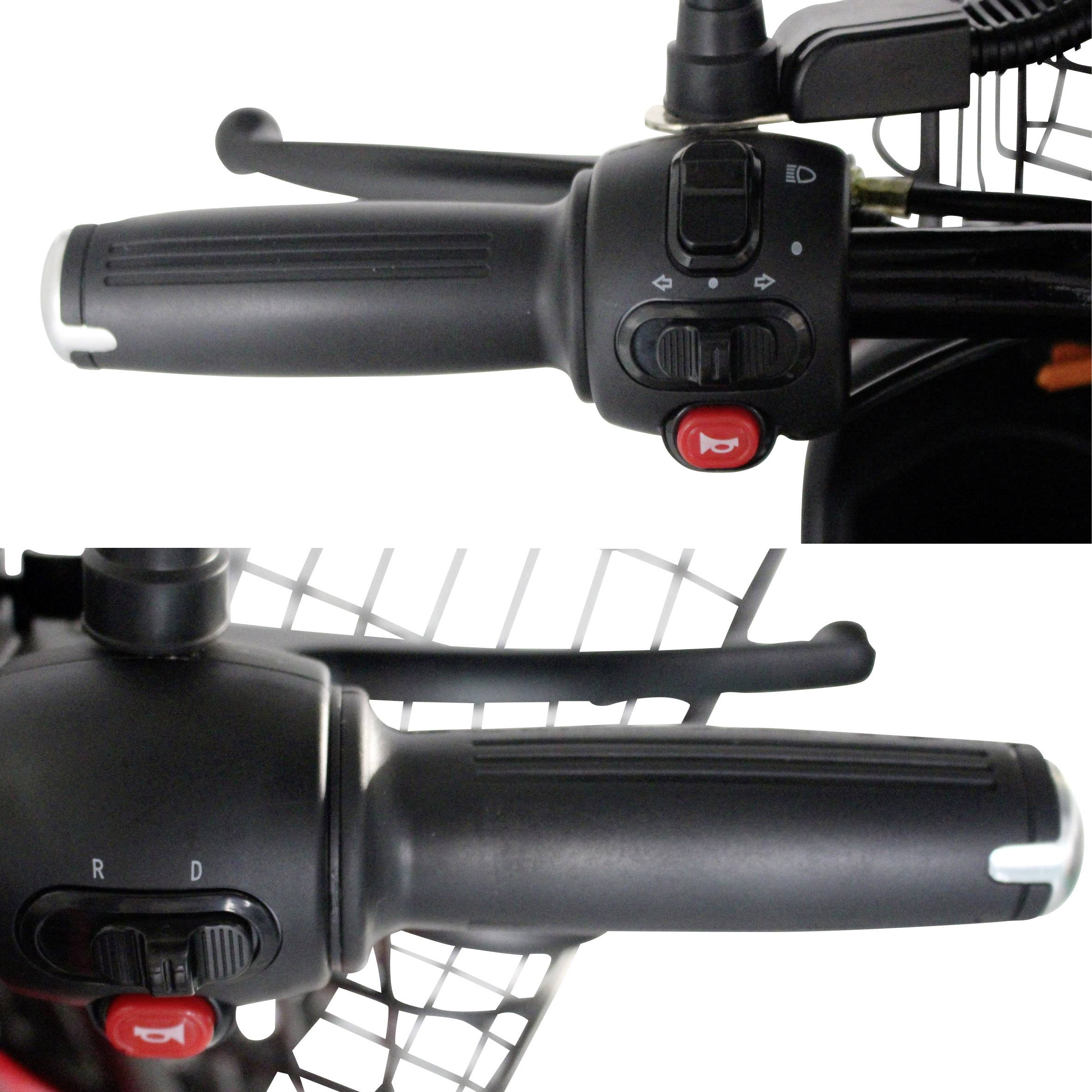 Rolektro E-Carrier 25 E-Trike Rot Blei-Gel 60V 32Ah