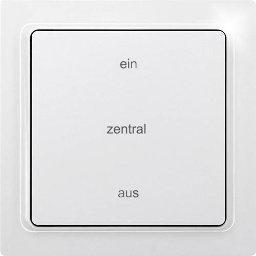 F2ZT65-wg Funk Taster 2-Kanal Aufputz Reichweite max. (im Freifeld) 30m