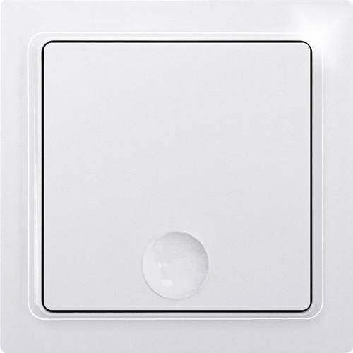 TF-1FT Funk Taster 1-Kanal Aufputz Reichweite max. (im Freifeld) 30m