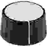 Tête de bouton rotatif Mentor 334.8 noir (Ø x H) 36 mm x 18.5 mm 1 pc(s)
