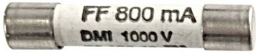 HT Instruments 2009710 Sicherung SB0.8A Sicherung Sicherung 800mA für HT60er Serie 1St.