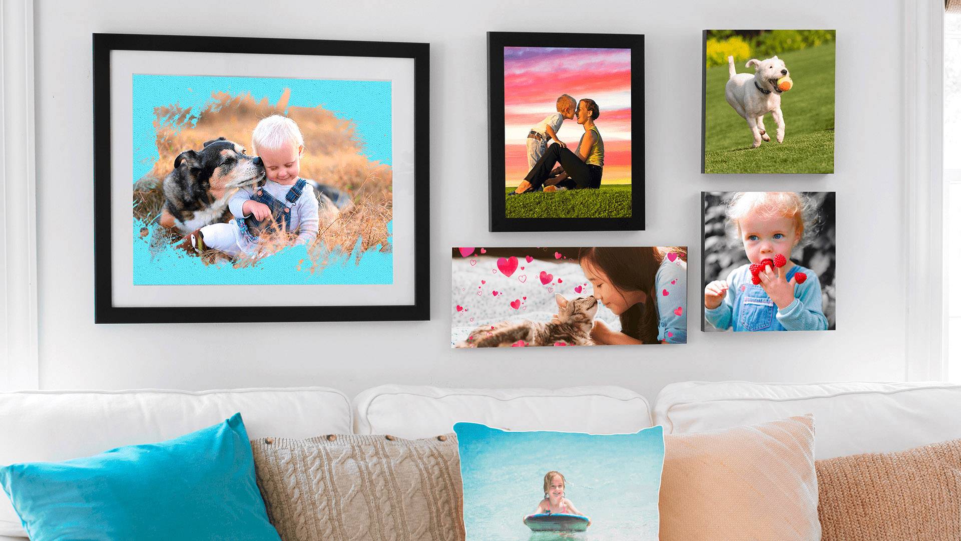 Adobe Photoshop Elements 2020 Vollversion, 1 Lizenz Windows, Mac Bildbearbeitung