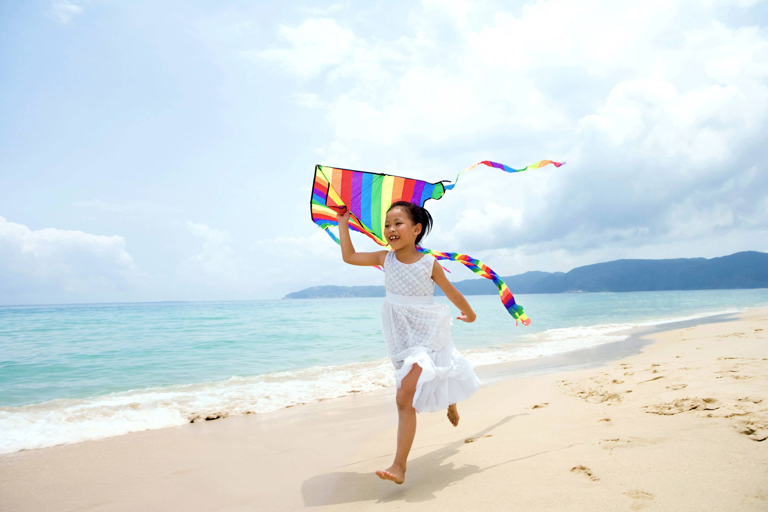Adobe Photoshop & Premiere Elements Upgrade, 1 Lizenz Windows Bildbearbeitung