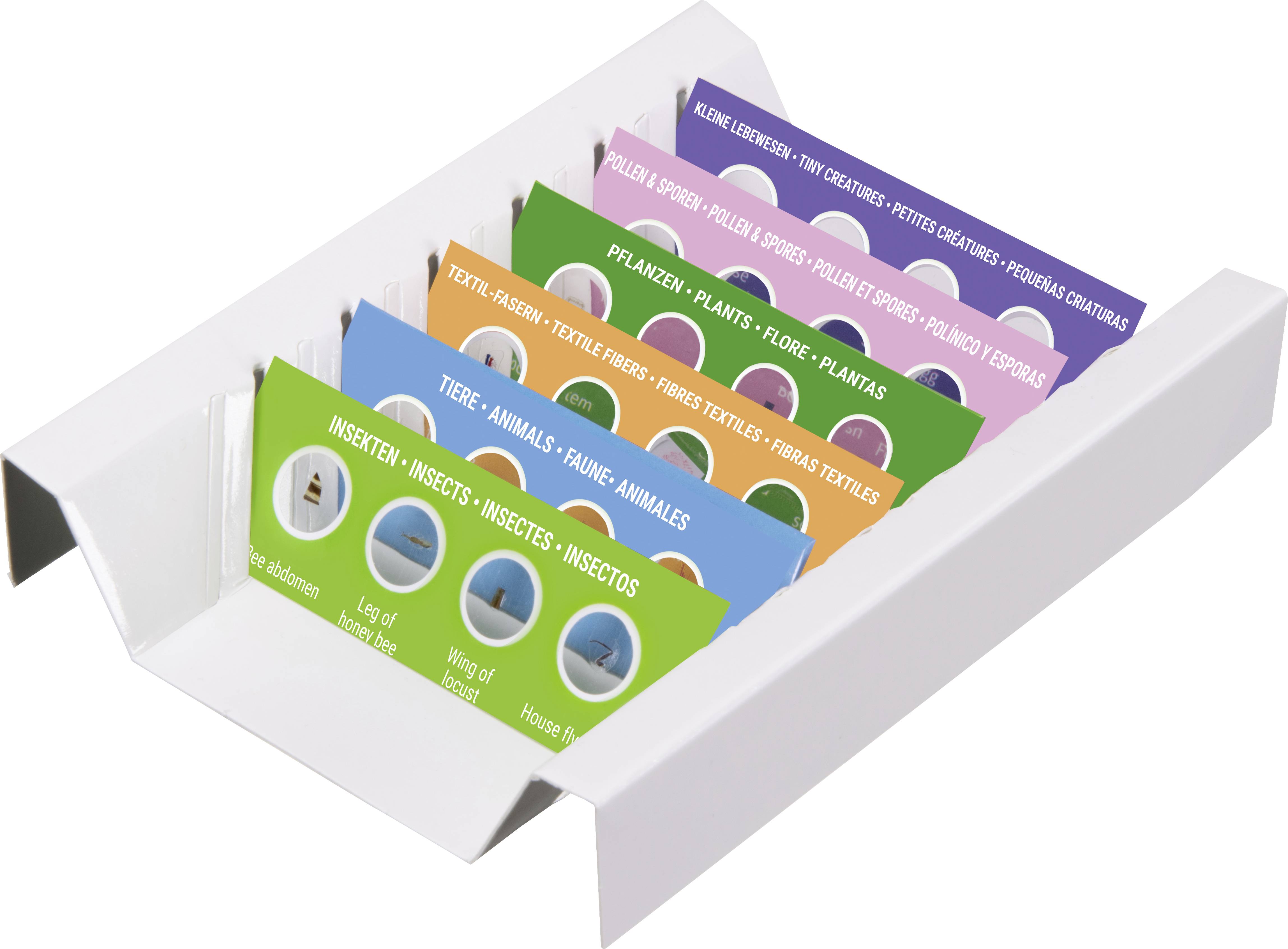 Mehrfarbige Karteikarten in einer Box, thematisch sortiert: 'Textilien', 'Pflanzen', 'Tiere', 'Insekten', 'Kleiner Lebensraum'.