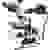 Bresser Optik 5770200 ADL 601 P Durchlichtmikroskop Trinokular 600 x Auflicht, Durchlicht