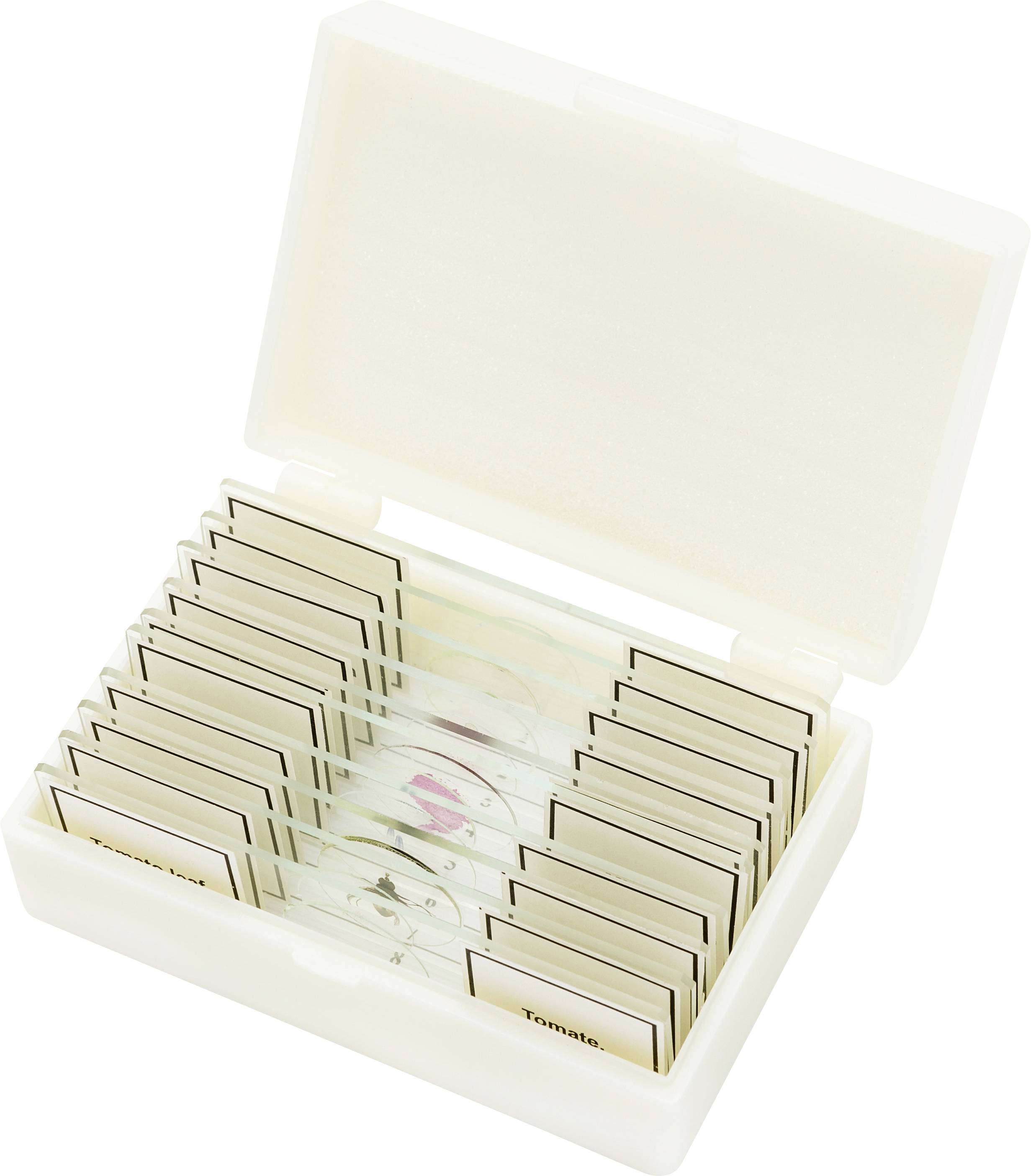 Eine offene Plastikbox mit mehreren Glasobjektträgern, die in Reihen angeordnet sind, zur Aufbewahrung von Mikroskopproben.