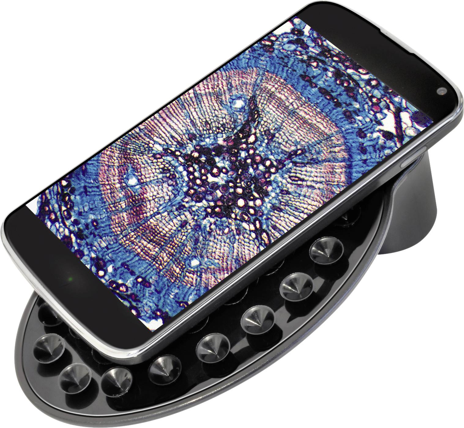 Smartphone liegt auf einem kabellosen Ladegerät, Display zeigt ein mikroskopisches Bild eines Pflanzenquerschnitts mit bunten Details.