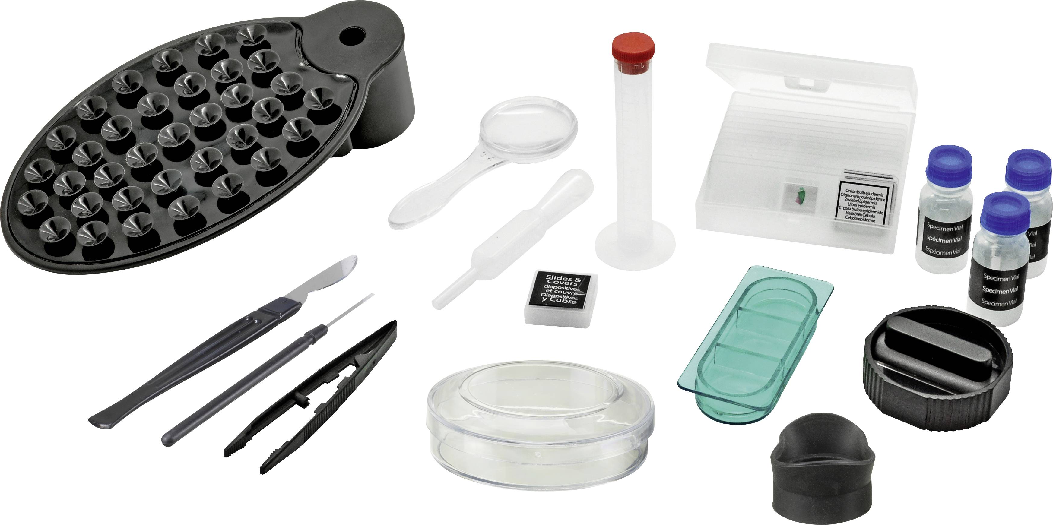 Das Bild zeigt ein Biologie-Set mit Petrischalen, Pipetten, Probenfläschchen, einer Pinzette, einem Skalpell und weiteren Instrumenten.