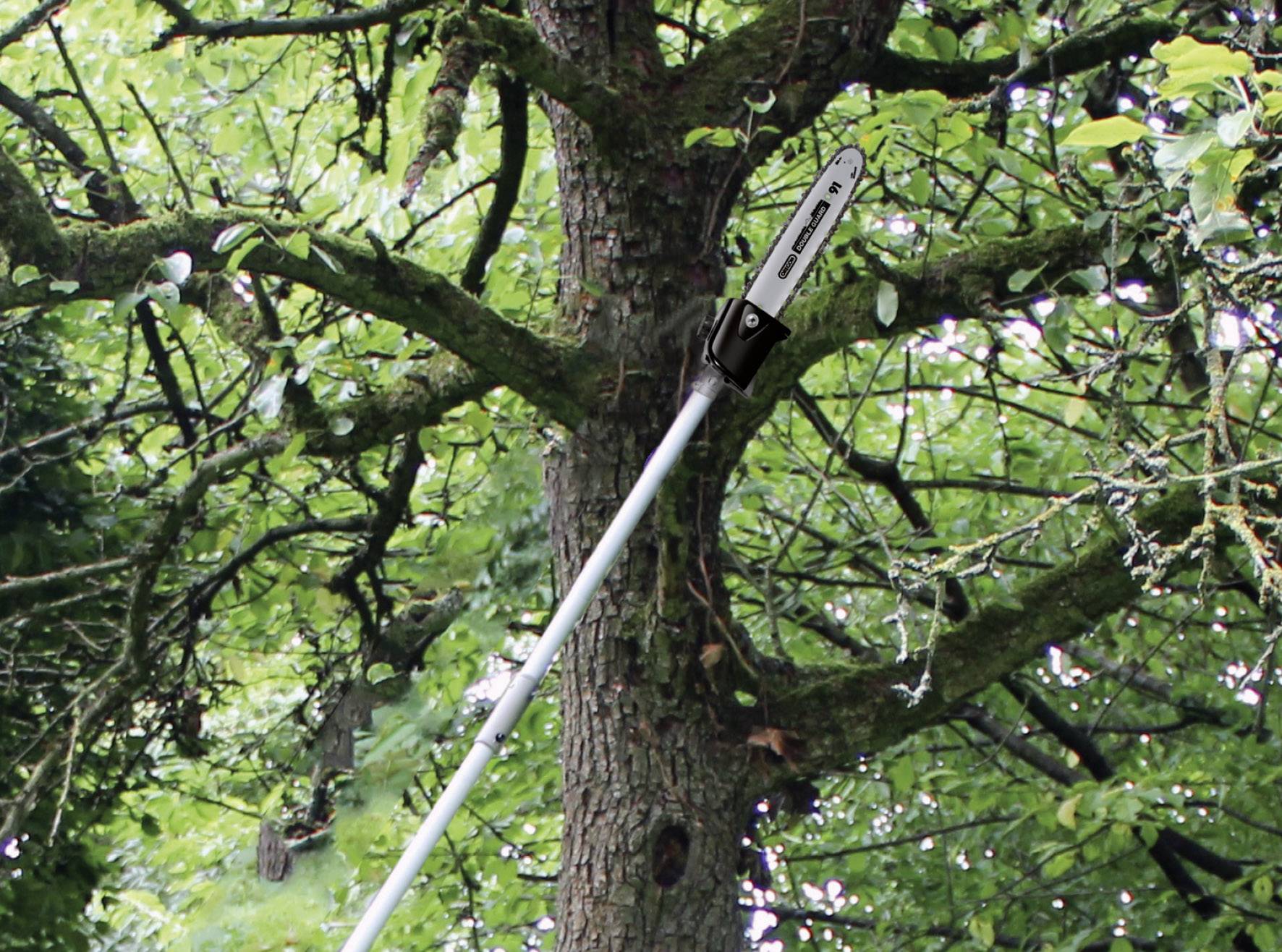 Eine Heckenschere auf einem langen Stab wird benutzt, um einen Ast eines Baumes zu schneiden. Der Baum steht in einem grünen Waldgebiet.