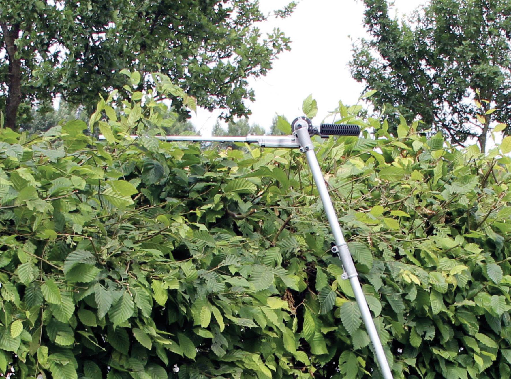 Ein Heckenschneider auf einem Teleskopstab schneidet hoch gewachsene Hecken, umgeben von grünem Laub und Baumkronen im Hintergrund.