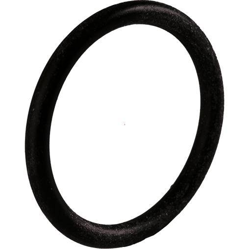 Ein schwarzer, runder O-Ring aus Gummi liegt auf einem weißen Hintergrund.