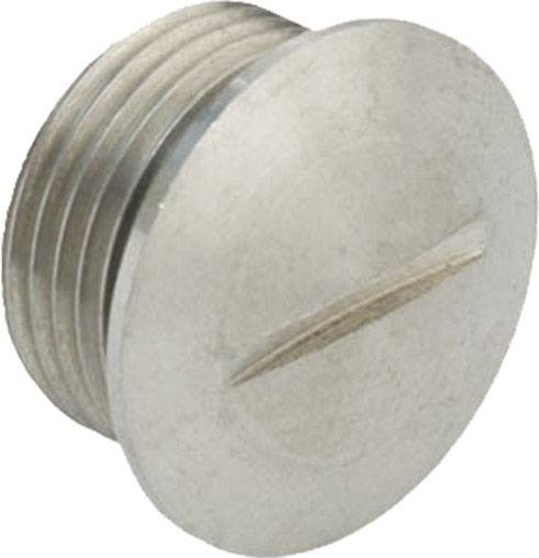 Ein silberfarbener, runder Metallstopfen mit Gewinde und Schlitz zur Befestigung, möglicherweise als Verschluss oder Schraube verwendet.