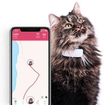 tractive IKATI Katzen GPS Tracker Haustiertracker Weiß