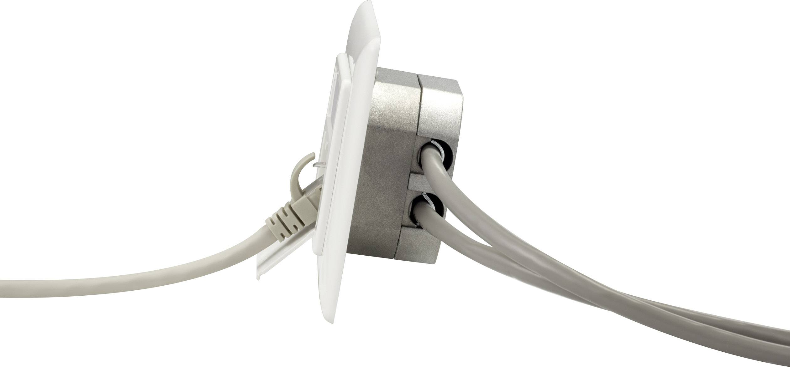 Renkforce Netzwerkdose Unterputz Einsatz CAT 6 2 Port Reinweiß