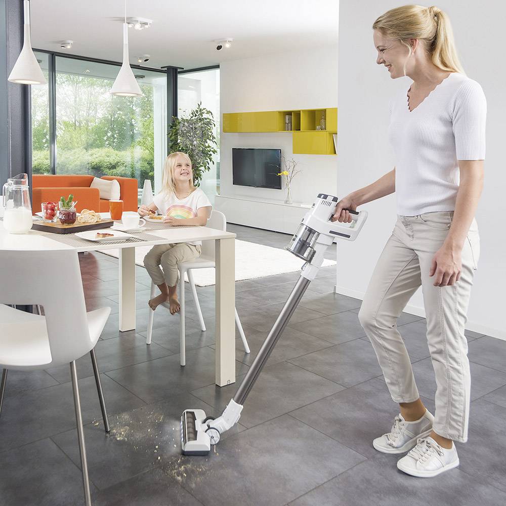 Thomas QUICK STICK Boost 785303 Akku-Handstaubsauger 21.6 V