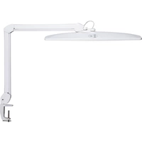 Maul MAULexplore 8205602 LED-Schreibtischleuchte EEK: D (A - G) Weiß Maul MAULexplore 8205602 LED-Schreibtischleuchte EEK: D (A - G) Weiß