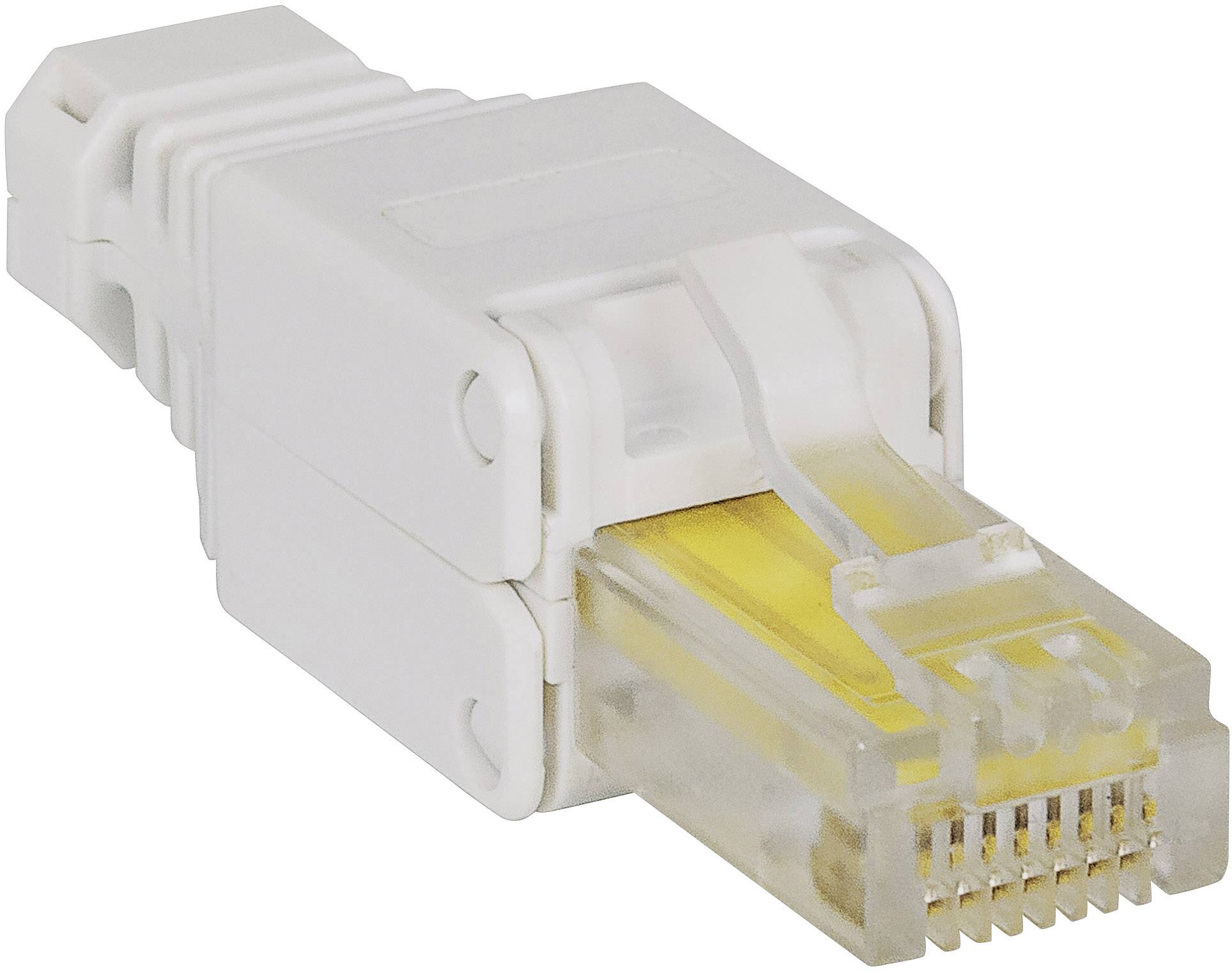 Ein weißer RJ-45-Netzwerkstecker mit sichtbaren goldenen Kontaktpins.