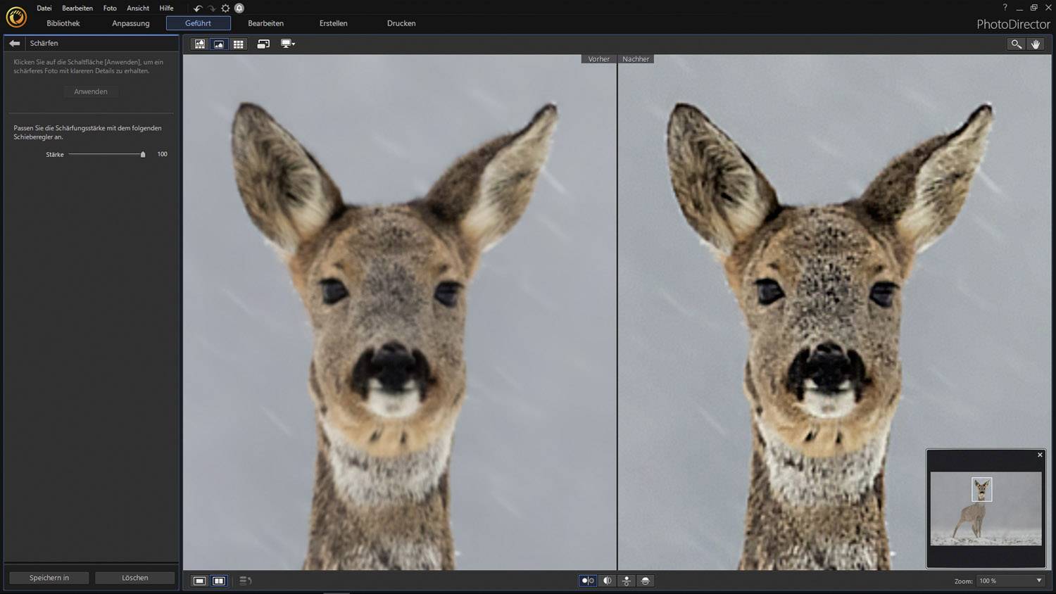 Cyberlink PhotoDirector 11 Ultra Vollversion, 1 Lizenz Windows Bildbearbeitung