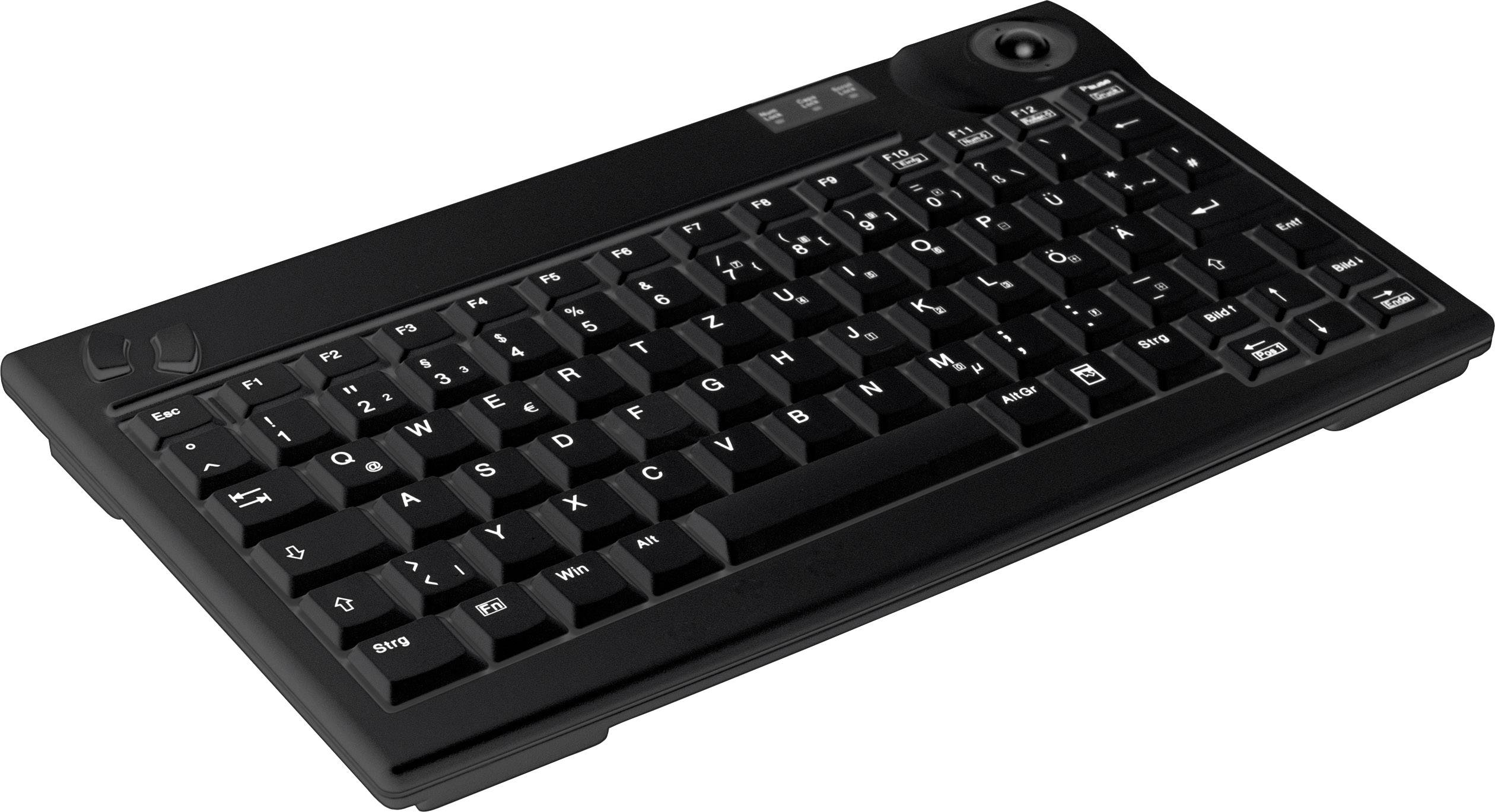 Active Key AK-440 USB Tastatur US-Englisch, QWERTY Schwarz Integrierter Trackball