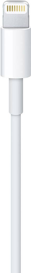 Apple iPad, iPhone, iPod, MacBook [1x Apple Lightning-Stecker - 1x USB 2.0 Stecker A] 1.00 m Weiß