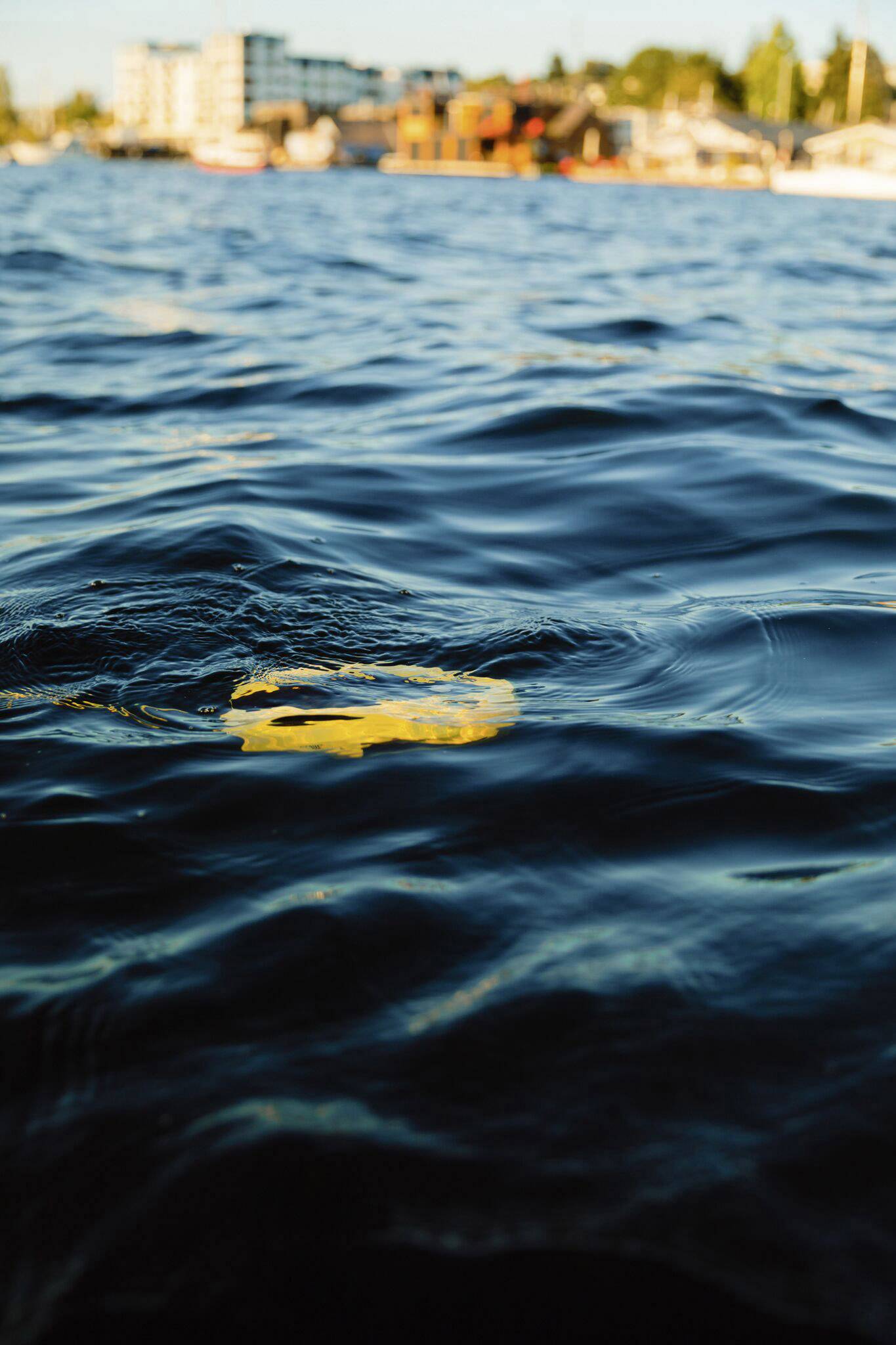 Chasing Innovation Dory Unterwasser-Drohne 247mm