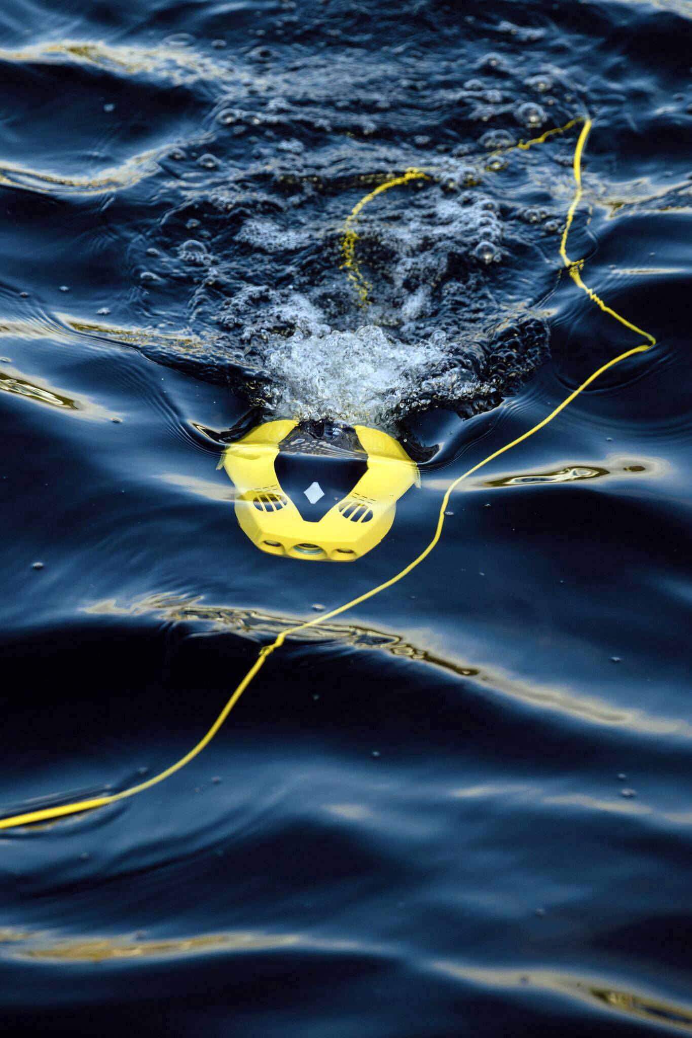 Chasing Innovation Dory Unterwasser-Drohne 247mm