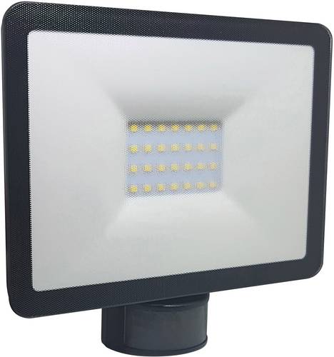 Bewegungs- Präsenzmelder 1SPSPF20WN LED-Außenwandleuchte mit Bewegungsmelder 20W