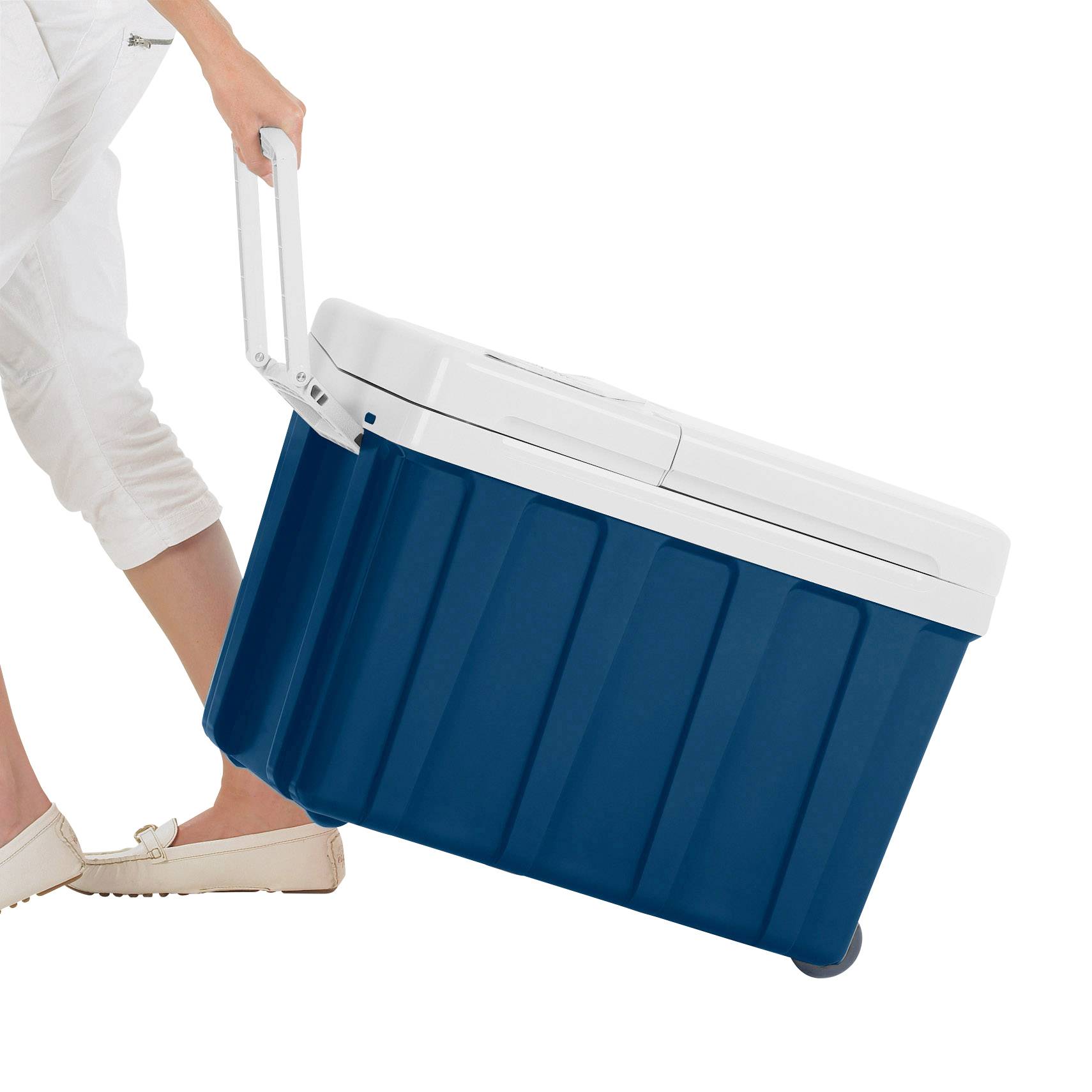 MobiCool MQ40W 12/230 V Kühlbox EEK: F (A - G) Thermoelektrisch 12 V, 230 V Blau 40 l 18 °C unter Umgebungstemperatur