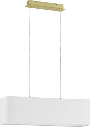 Fischer & Honsel Iring 65192 Pendelleuchte E27 Messing