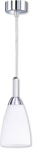 Fischer & Honsel Leaves 77431 Pendelleuchte E14 Nickel