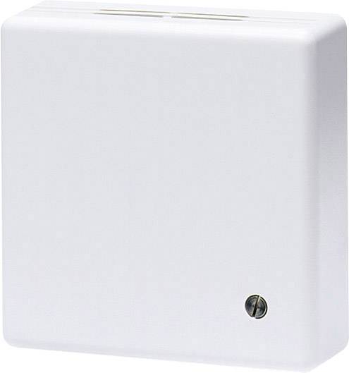 Eberle 101110250102 RTR-E 3545 Raumthermostat Aufputz Heizen 1St.