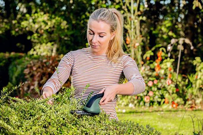 Bosch Home and Garden EasyShear Akku Grasschere 3.6V Li-Ion