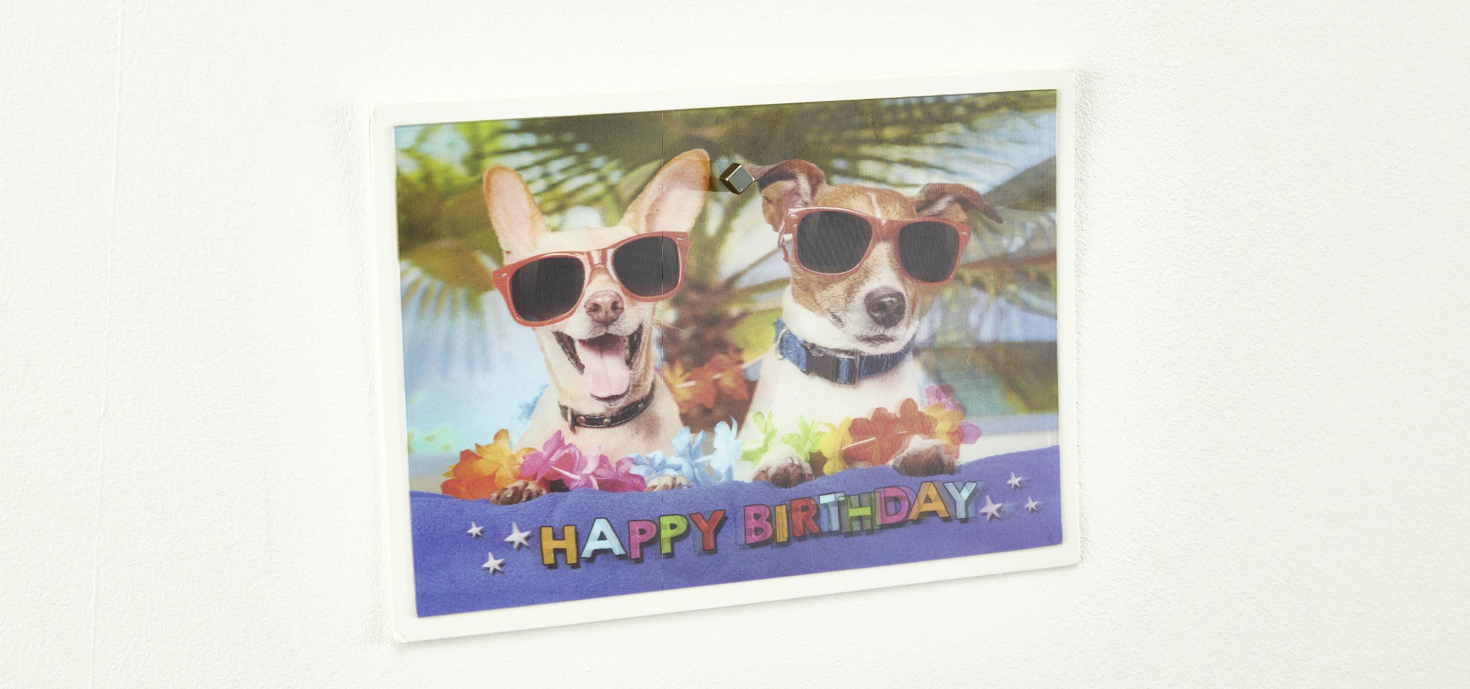 Zwei Hunde mit Sonnenbrillen sitzen hinter einem Schild mit der Aufschrift 'HAPPY BIRTHDAY', umgeben von bunten Blumen.