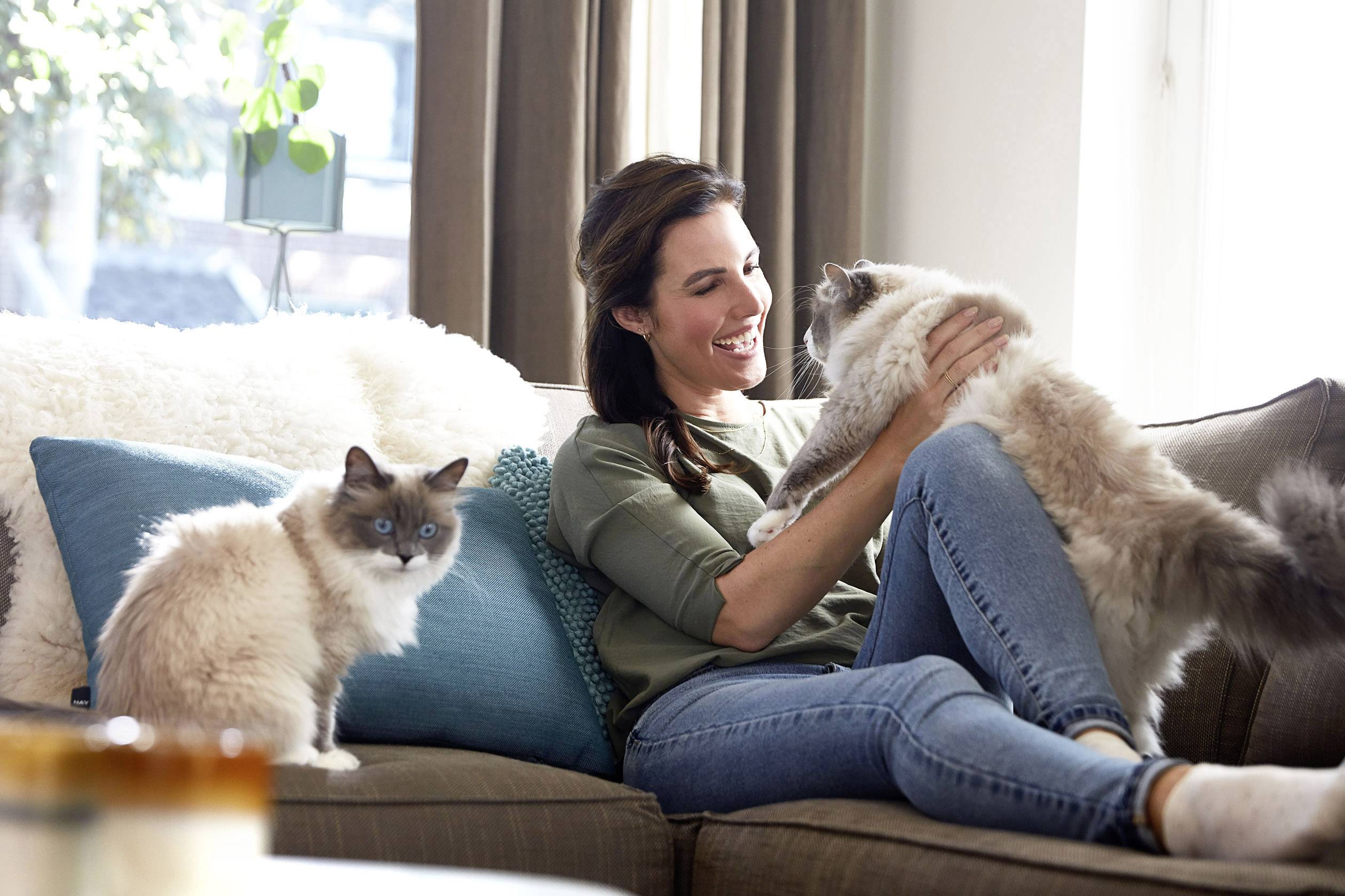 Bissell Smart Clean Pet 2228N Trockensauger 3 l