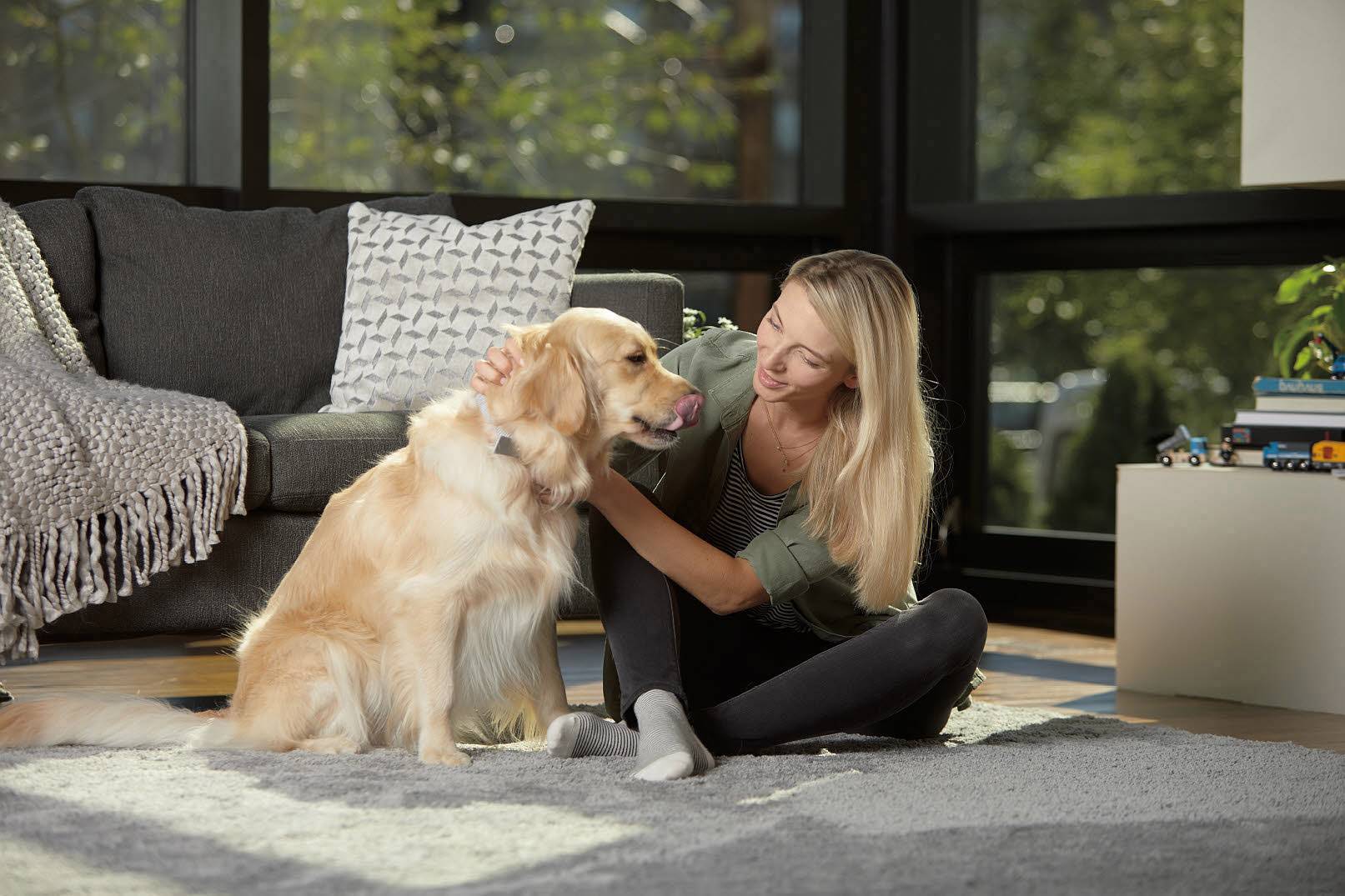 Bissell Smart Clean Pet 2228N Trockensauger 3 l