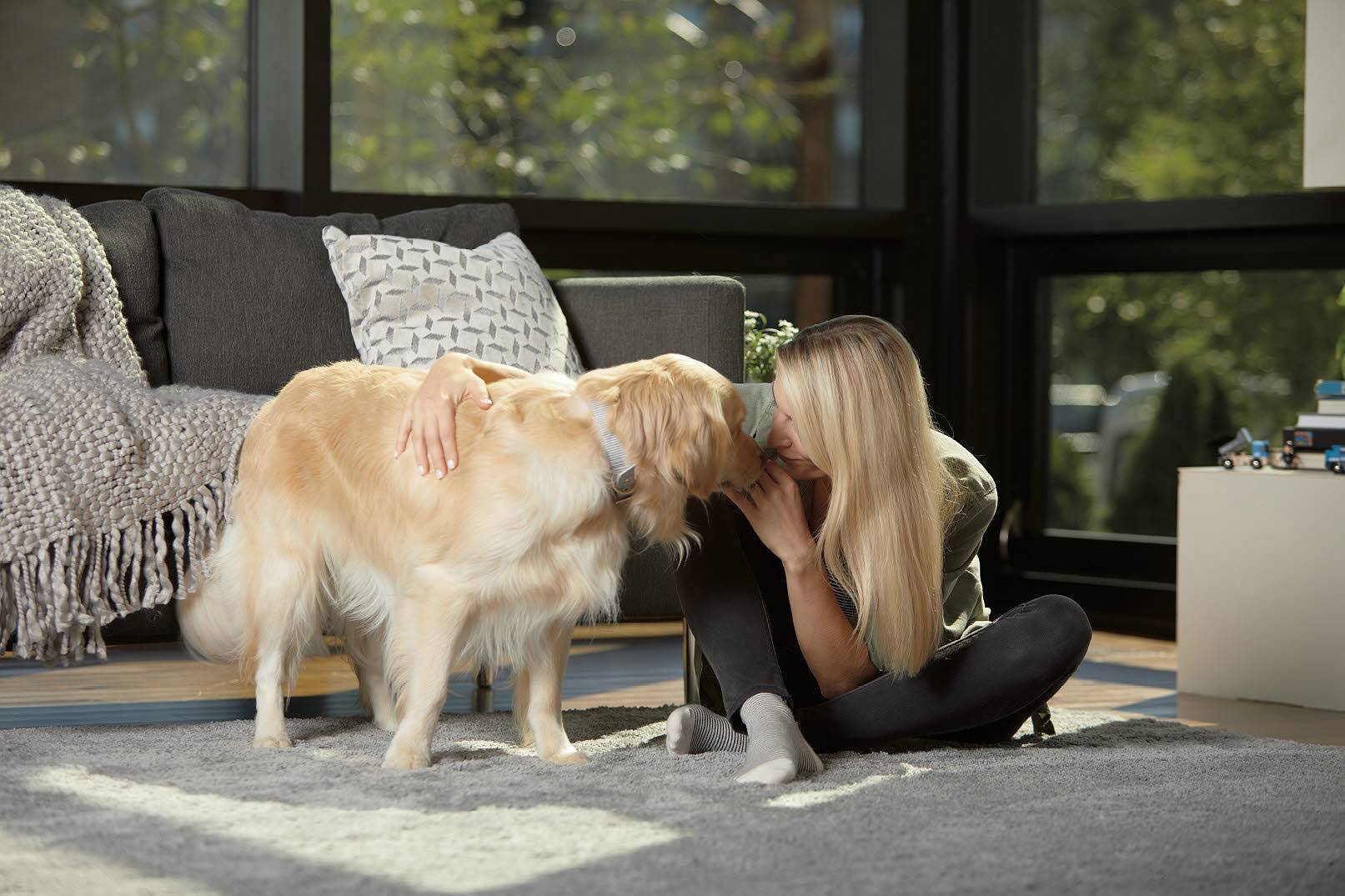 Bissell Smart Clean Pet 2228N Trockensauger 3 l