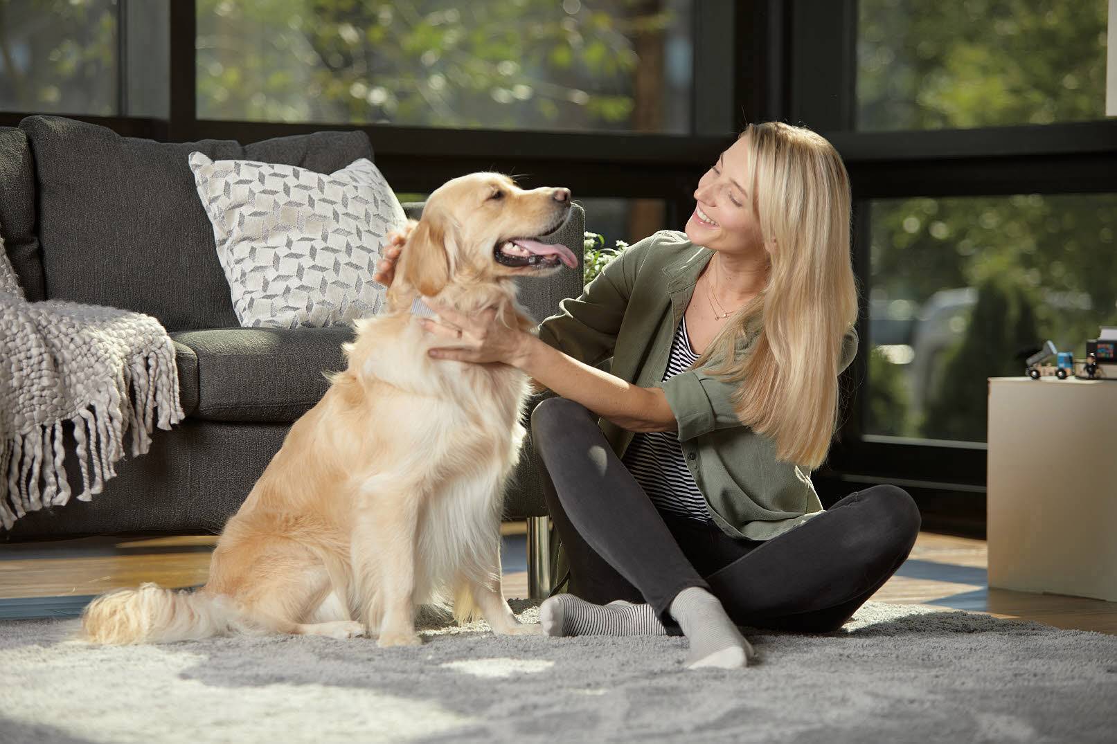 Bissell Smart Clean Pet 2228N Trockensauger 3 l