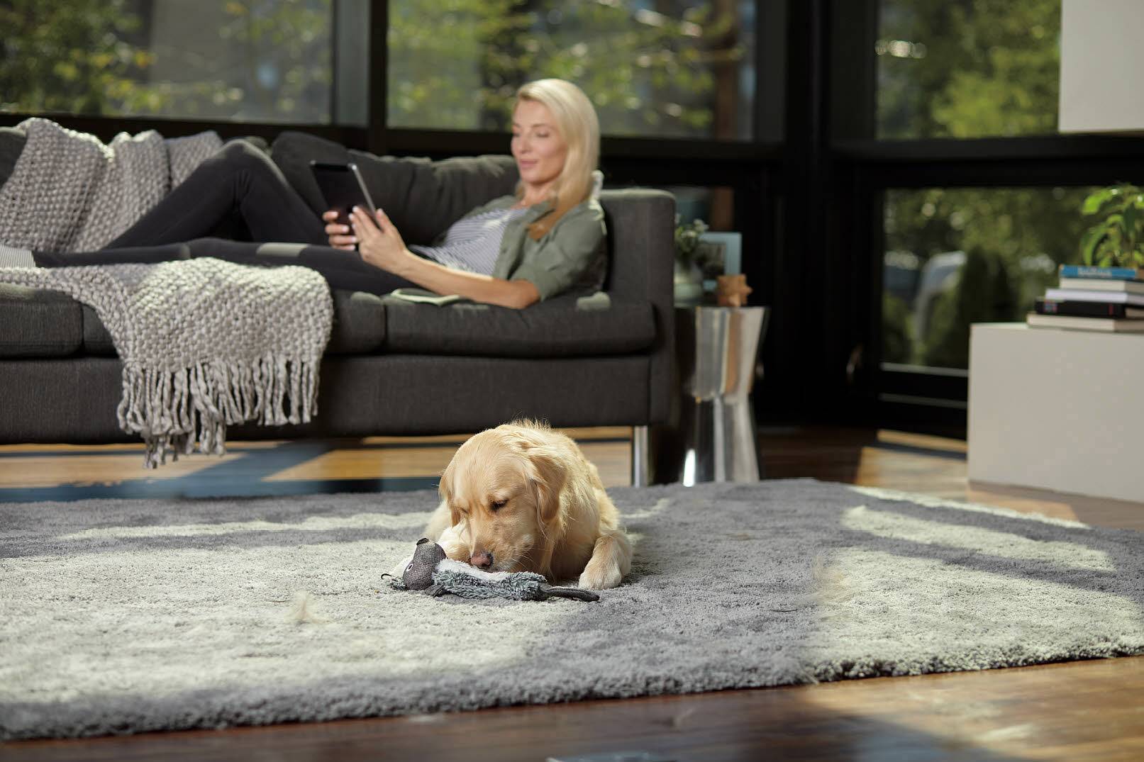 Bissell Smart Clean Pet 2228N Trockensauger 3 l