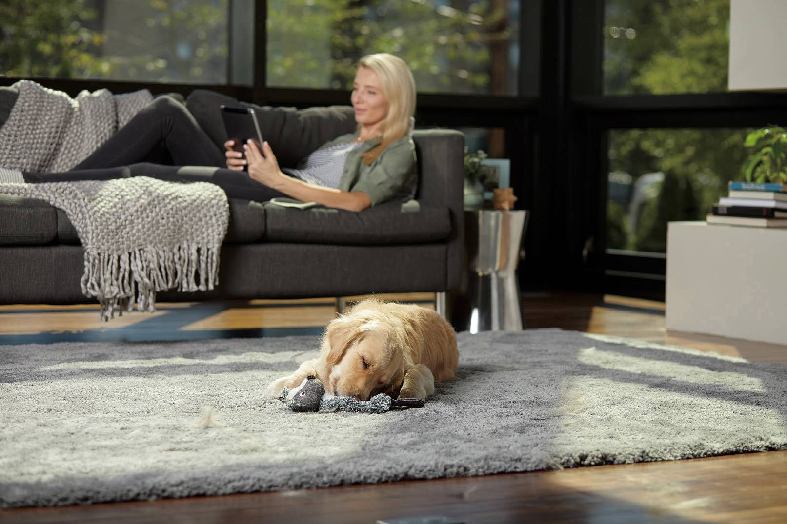 Bissell Smart Clean Pet 2228N Trockensauger 3 l