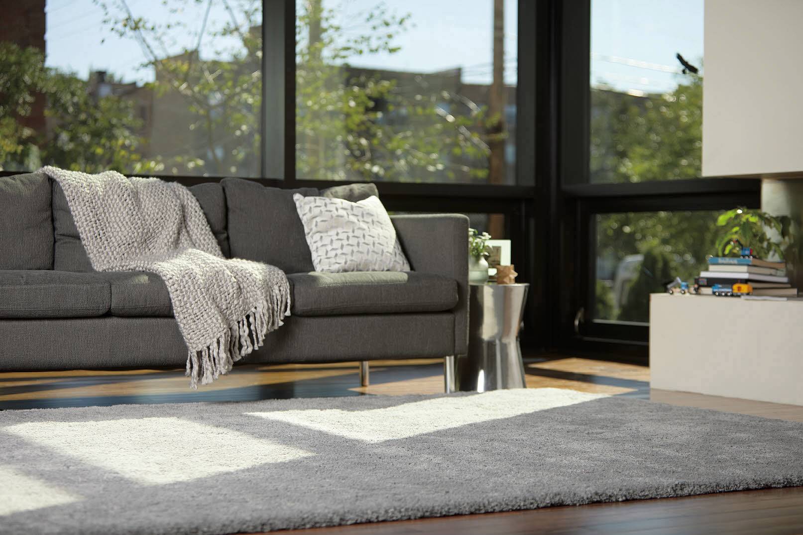 Bissell Smart Clean Pet 2228N Trockensauger 3 l