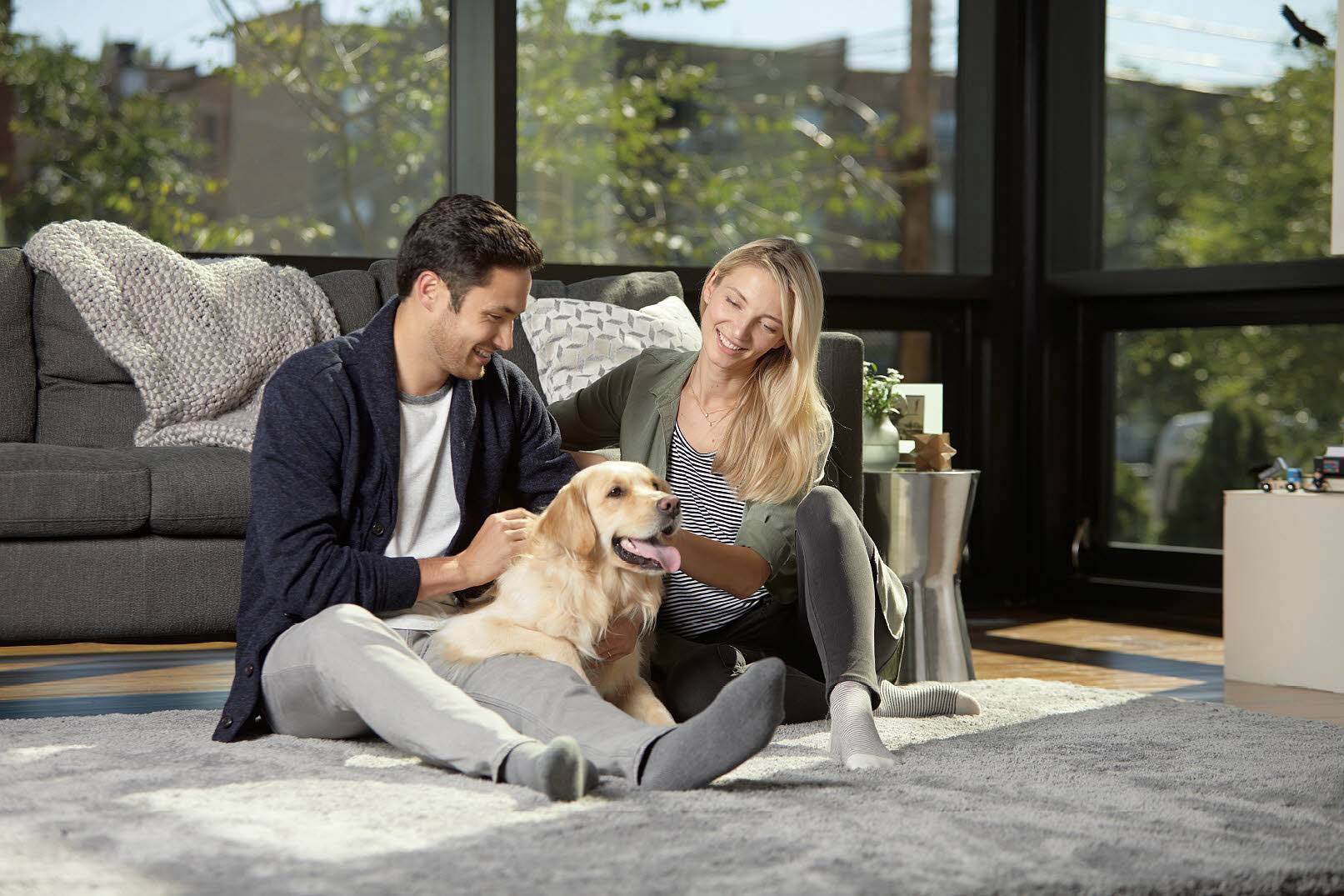 Bissell Smart Clean Pet 2228N Trockensauger 3 l