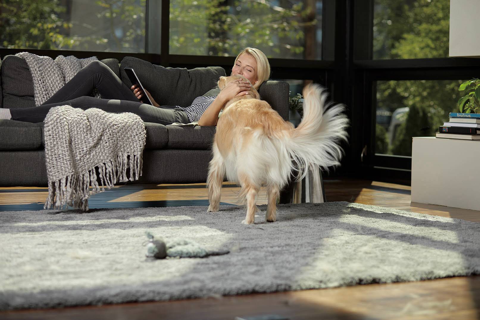 Bissell Smart Clean Pet 2228N Trockensauger 3 l