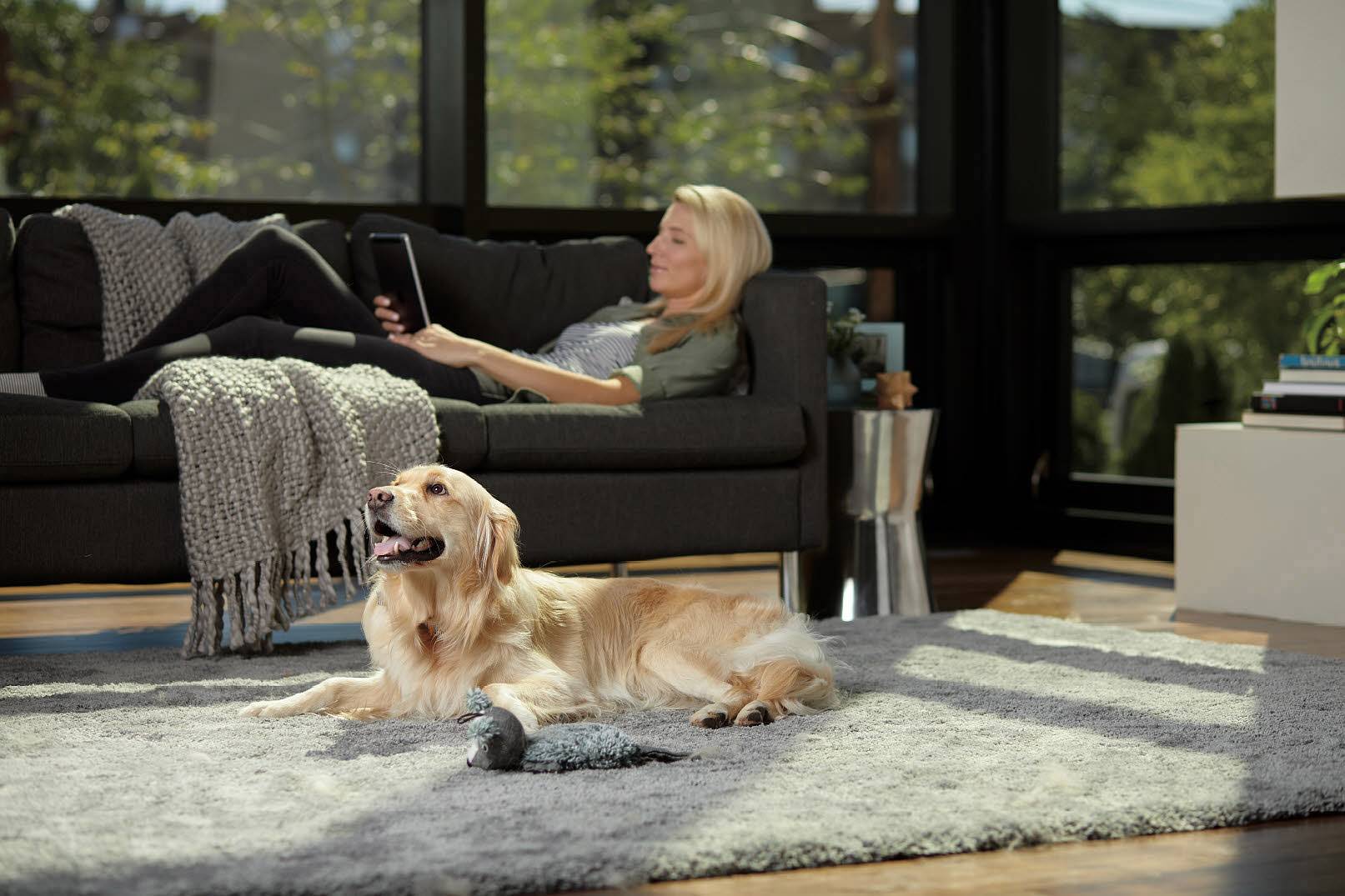 Bissell Smart Clean Pet 2228N Trockensauger 3 l