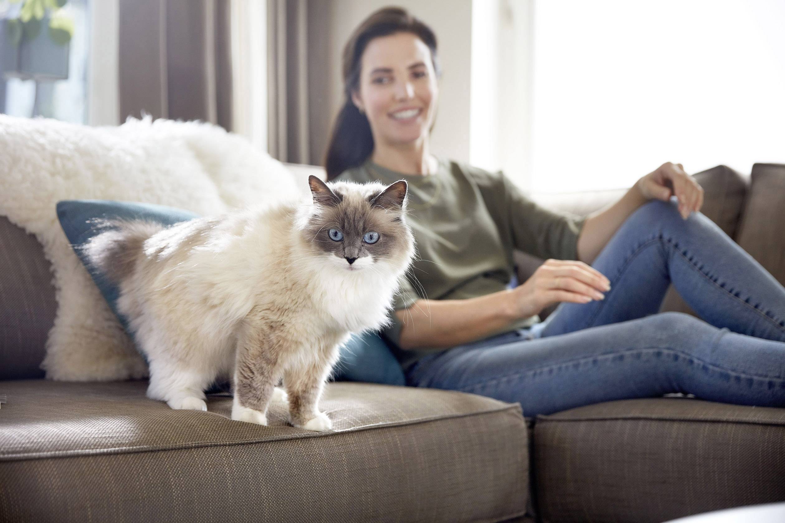 Bissell Smart Clean Pet 2228N Trockensauger 3 l