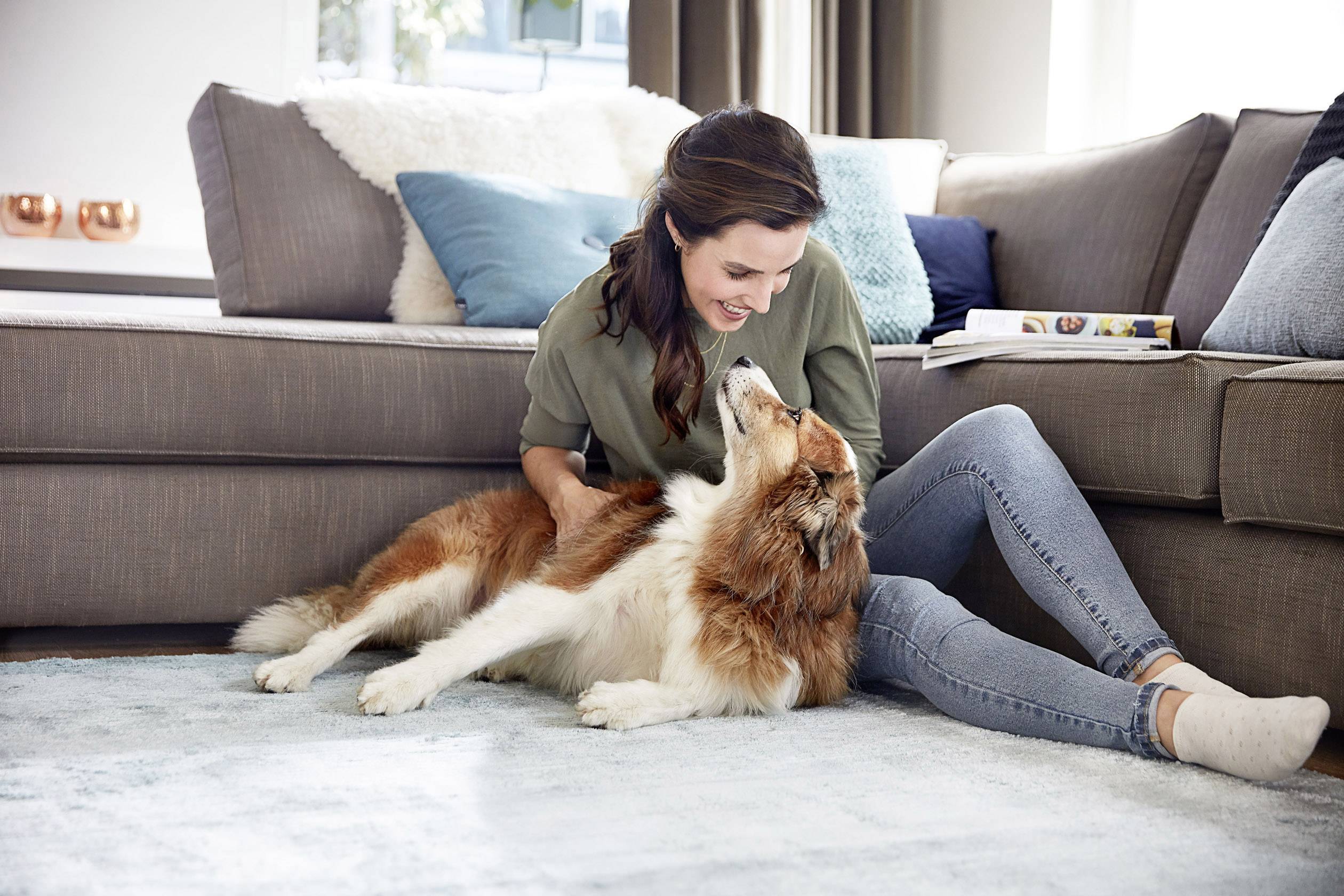 Bissell Smart Clean Pet 2228N Trockensauger 3 l